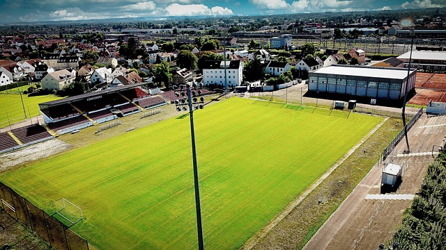 这也充分说 这也充分说