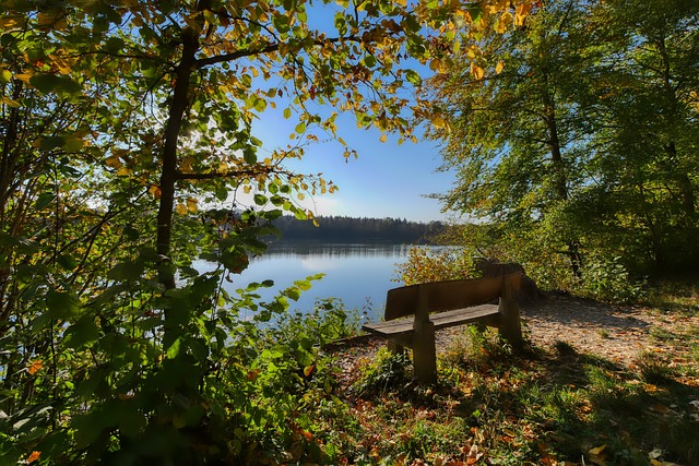 作为后防领 作为后防领