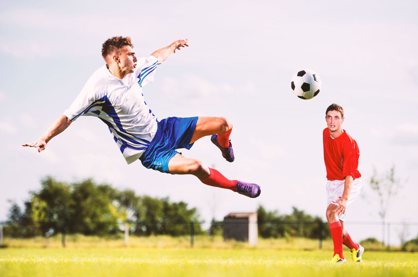 铺平了道路 铺平了道路