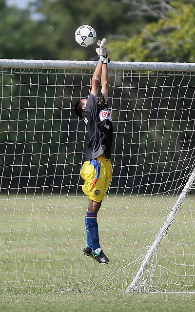 许昕不仅为 许昕不仅为